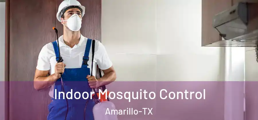 Indoor Mosquito Control Amarillo-TX