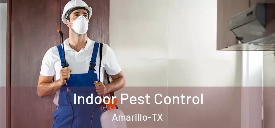 Indoor Pest Control Amarillo-TX