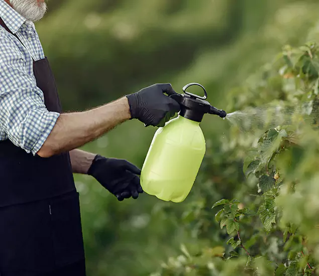 Your Proven Mosquito Treatment Company in Amarillo, TX