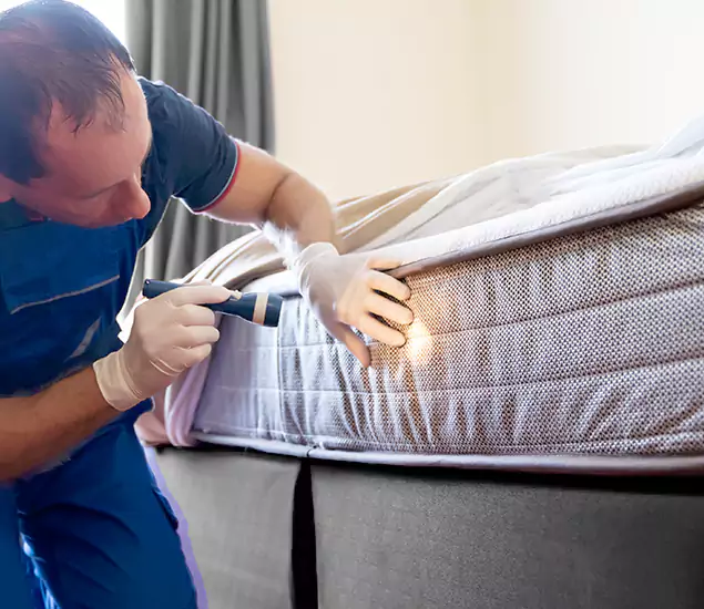 Trusted Bed Bug Cost Experts in Amarillo, TX