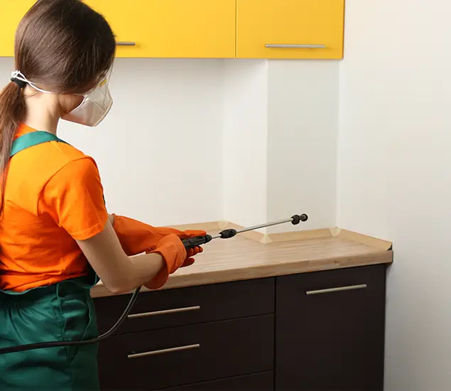 Trusted Bed Bug Pest Control Specialist in Amarillo, TX