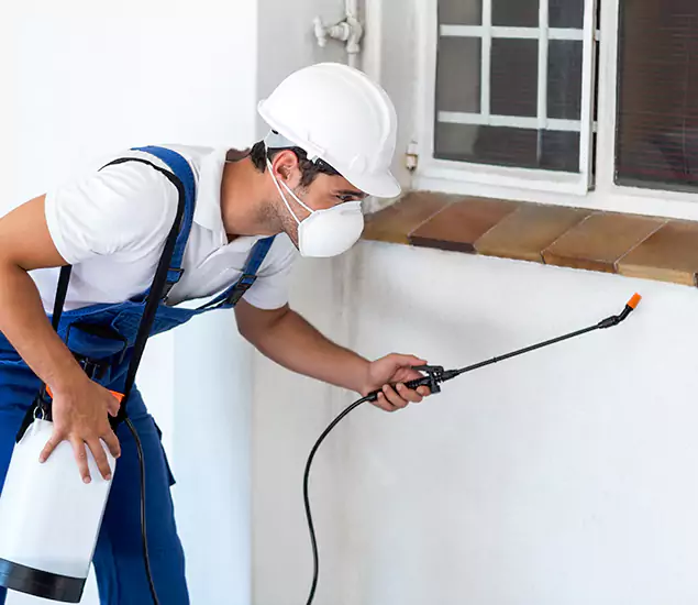 Your Professional Cockroach Exterminator in Amarillo, TX