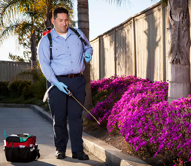 About Our Eco Safe Pest Control Experts in Amarillo, TX