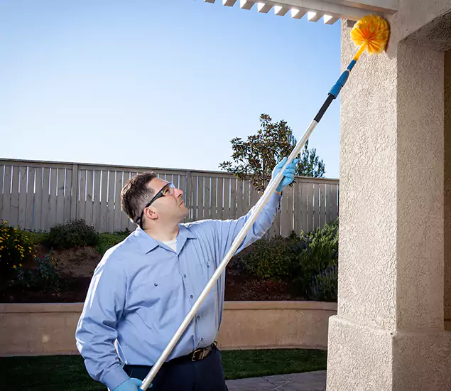 Trusted Experts in Amarillo TX for Formosan Termite Treatment and Black Termite Control