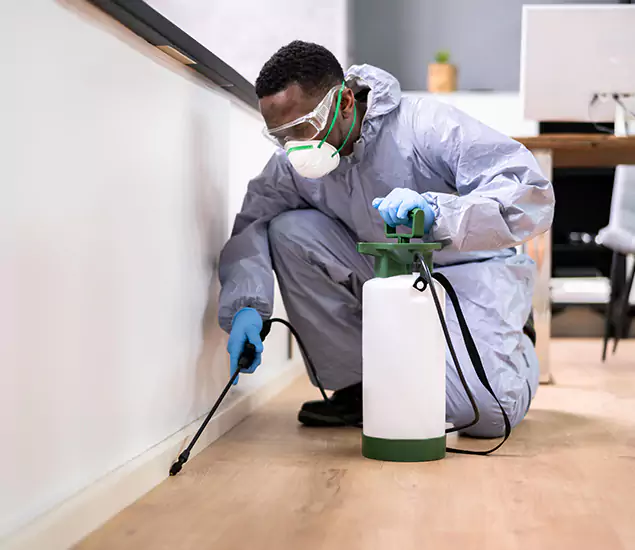 Leading Industrial Pest Control Experts Serving Amarillo, TX