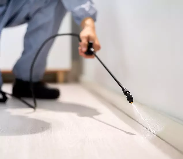 About Our Liquid Termite Treatment Experts in Amarillo, TX