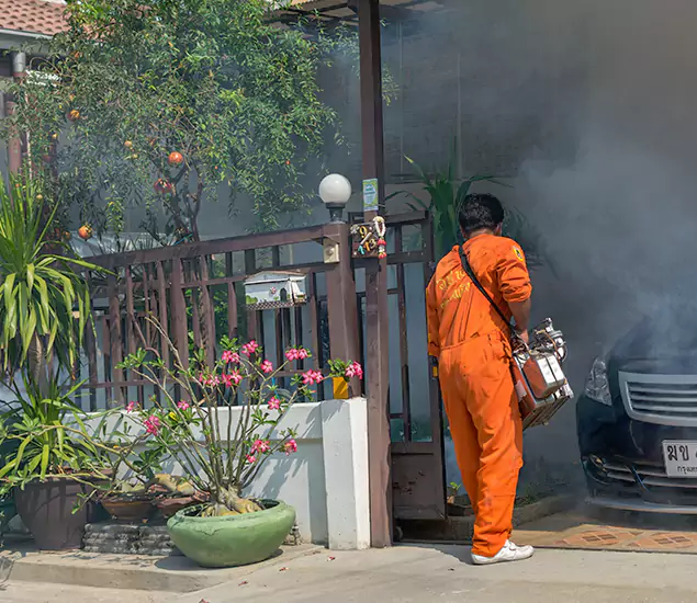 Your Proven Mosquito Fogging Company in Amarillo, TX