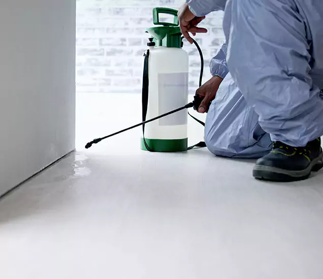 Affordable Pest Control Experts in Amarillo, TX