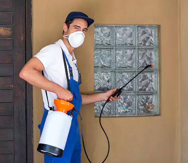 in Amarillo, TX Advanced Outdoor Pest Control Solutions by Amarillo Pest Control Pro