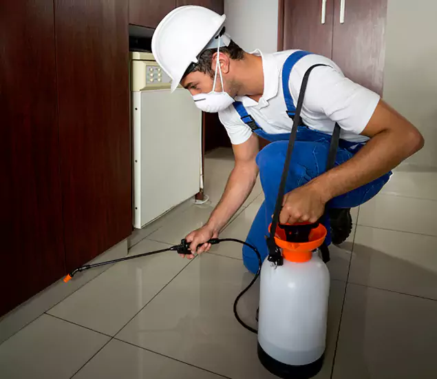 Advanced Termite Pre Treatment Experts in Amarillo, TX