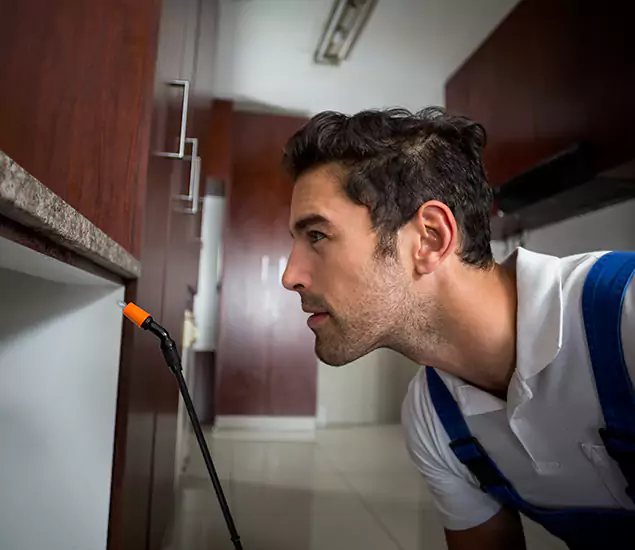 Expert Rodent in Attic Removal: Your Proven Pest Specialists in Amarillo, TX
