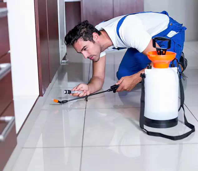 Advanced Slab Termite Treatment Experts You Can Trust&nbsp;in Amarillo, TX