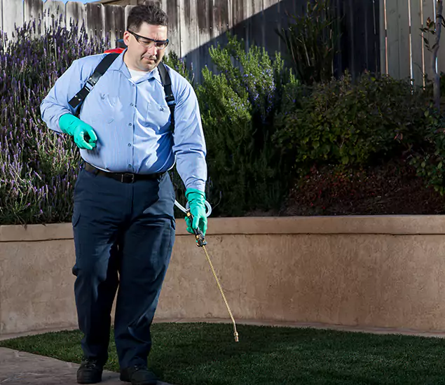 Reliable Termite Barrier Treatment Experts in Amarillo, TX