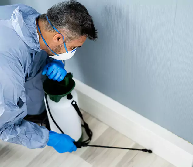 Reliable Termite Cost Experts in Amarillo, TX