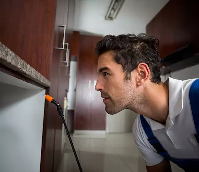 Termite Inspection Cost Experts You Can Trust in Amarillo, TX