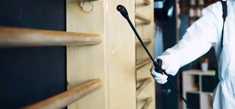 Attic Wood Termite Treatment in Amarillo