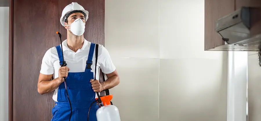 Per Room Bed Bug Cost in Amarillo
