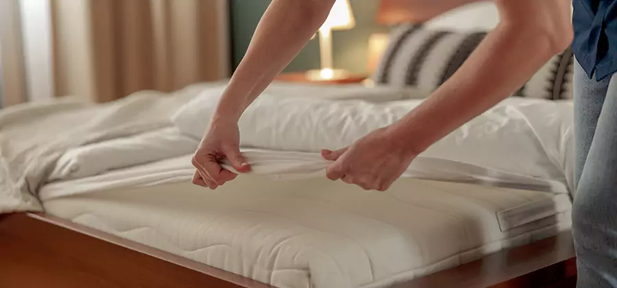 Bed Bug Extermination Services in Amarillo