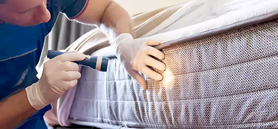 Residential Bed Bug Treatment Cost in Amarillo