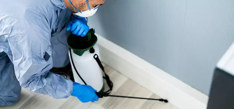 Fumigate Apartment Roaches in Amarillo