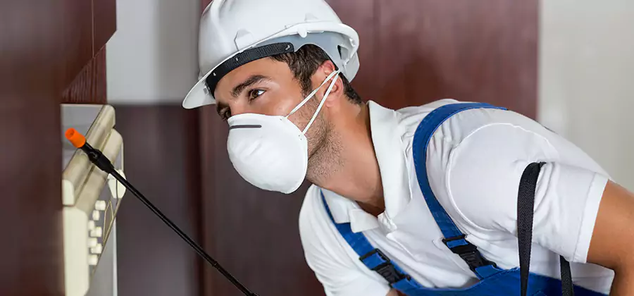 Injection Foam Treatment for Drywood Termites in Amarillo