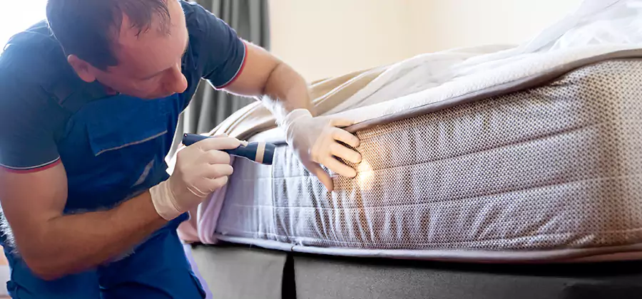 24 Hour Bed Bug Pest Control in Amarillo