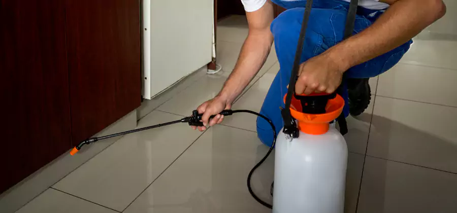 Indoor Mosquito Treatment in Amarillo