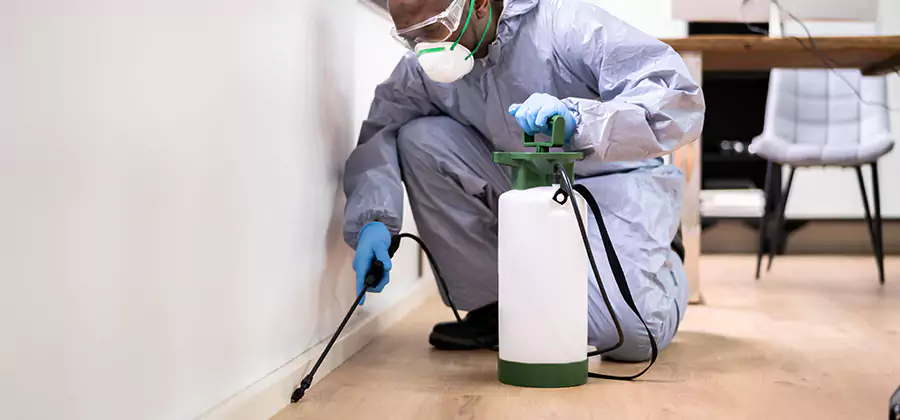 Long Lasting Mosquito Treatment in Amarillo
