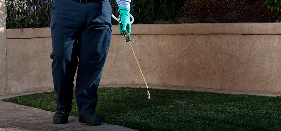 Soil Treatment for New Construction Termites in Amarillo