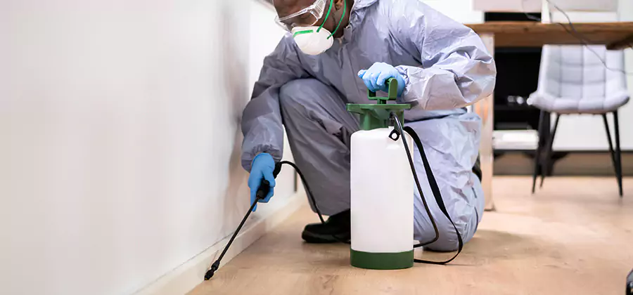 No Tent Termite Extermination With Electric Tool in Amarillo
