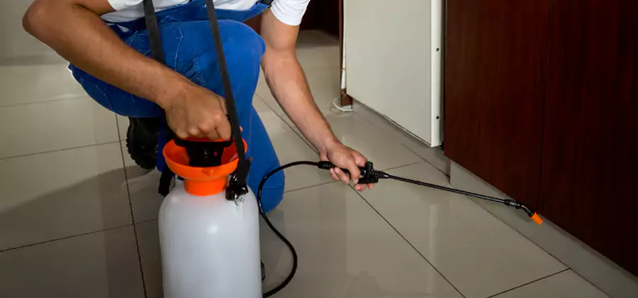 One Time Termite Control in Amarillo