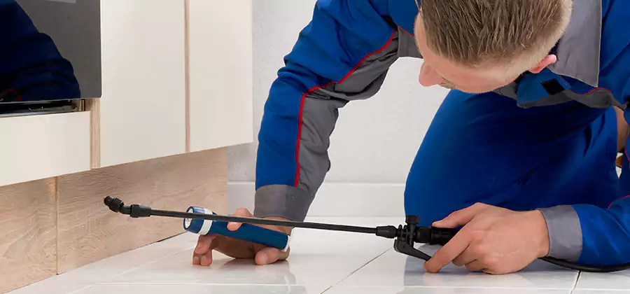 Moisture Treatment For Termite Control Service in Amarillo
