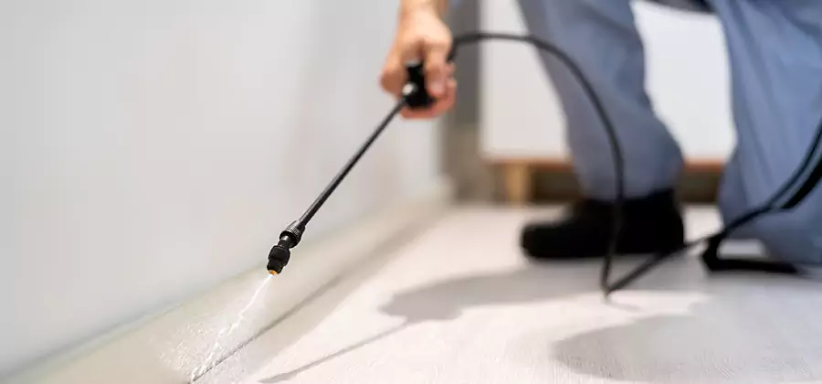 Direct Termite Injection Treatment in Amarillo
