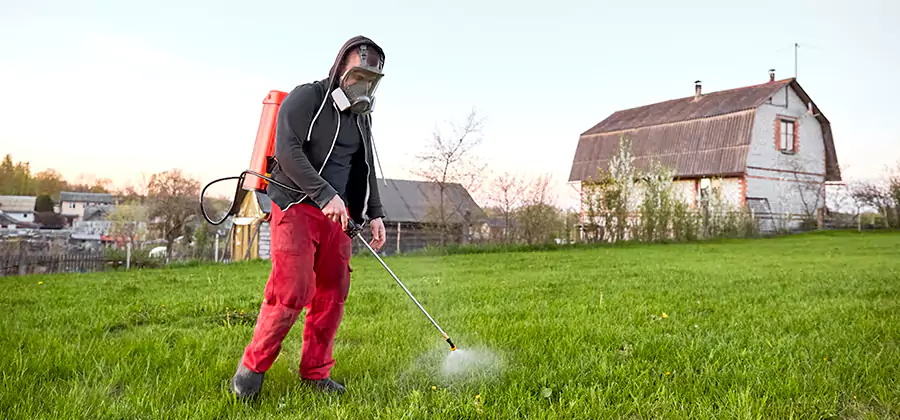 Flea and Tick Pest Control in Amarillo