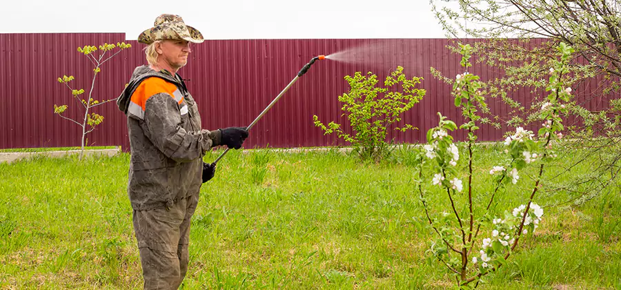 Flea and Tick Spray for Yard in Amarillo