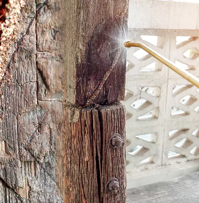 Why Choose Amarillo Pest Control Pro for Attic Termite Treatment in Amarillo, TX?
