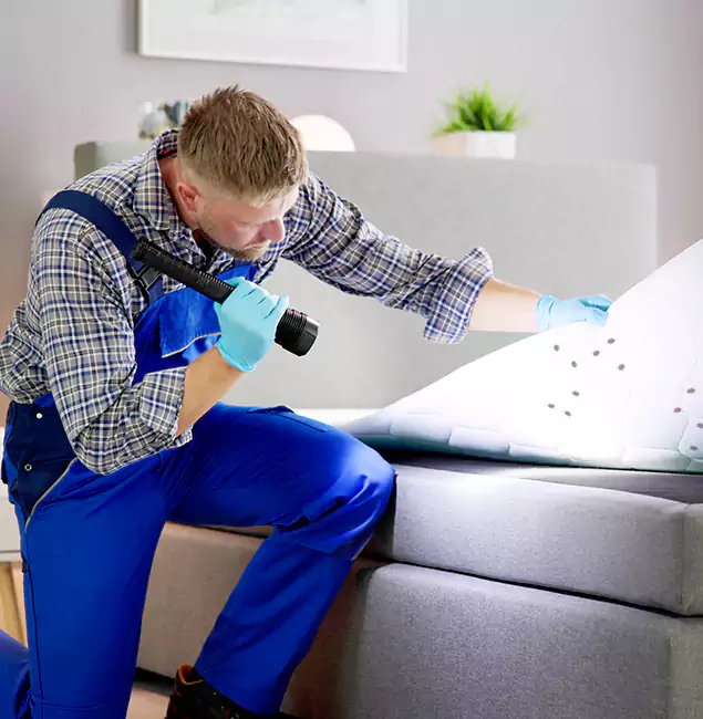 Why Choose Amarillo Pest Control Pro for Bed Bug Exterminator Cost in Amarillo, TX?