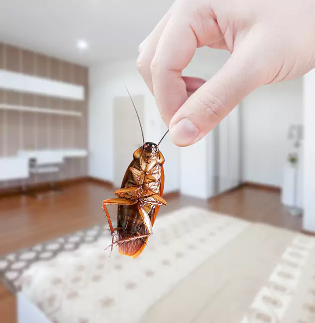 Why Amarillo Pest Control Pro Stand Out for Bed Bug Fumigation in Amarillo, TX?