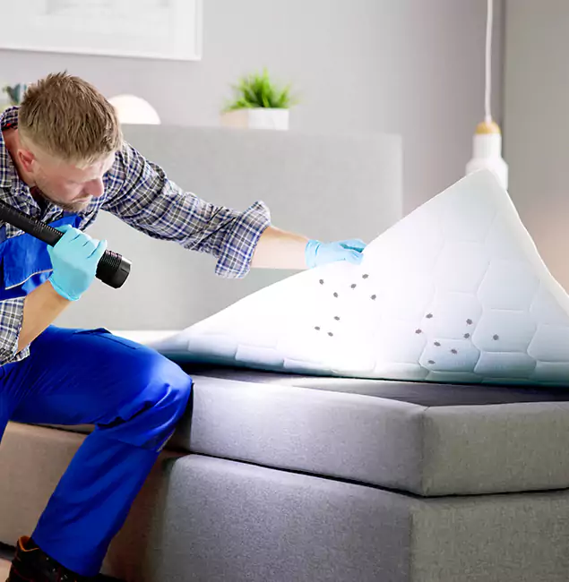 Why Choose Amarillo Pest Control Pro in Amarillo, TX?