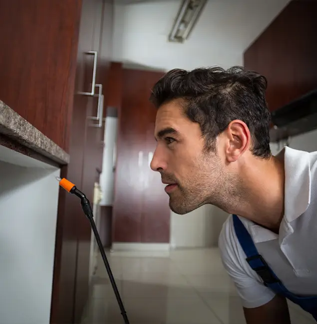 Why Choose Amarillo Pest Control Pro for Bed Bug Removal Cost in Amarillo, TX?