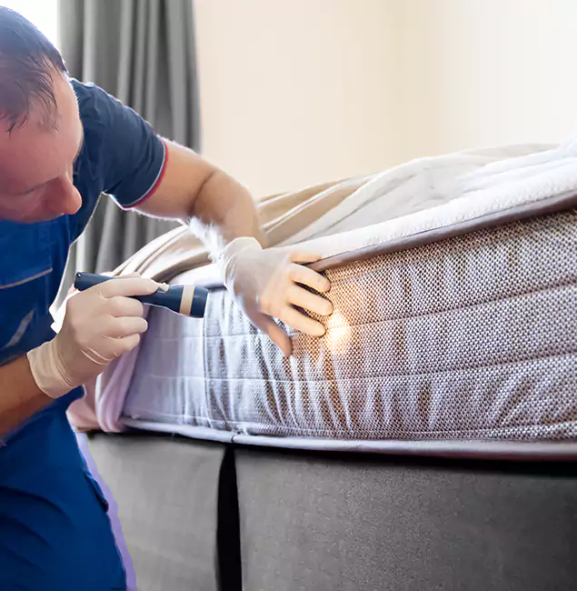 Why Choose Amarillo Pest Control Pro for Bed Bug Services in Amarillo, TX?