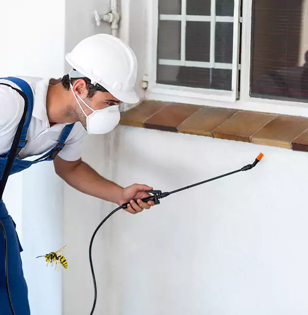 Why Amarillo Property Owners Choose Amarillo Pest Control Pro for Bee Nest Removal?
