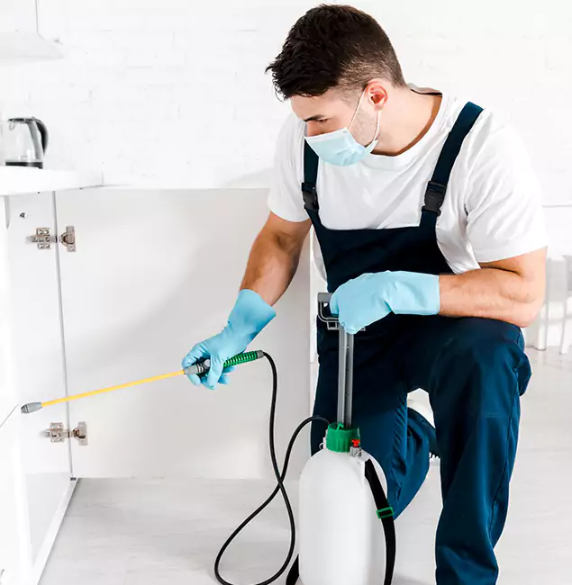 Why Choose Amarillo Pest Control Pro for Emergency Pest Control in Amarillo?