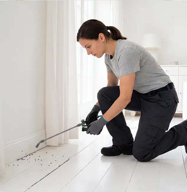 Why Amarillo, TX Property Owners Trust Amarillo Pest Control Pro for Fire Ant Control?