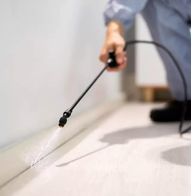 Why Choose Amarillo Pest Control Pro for Termite Treatment in Amarillo, TX?