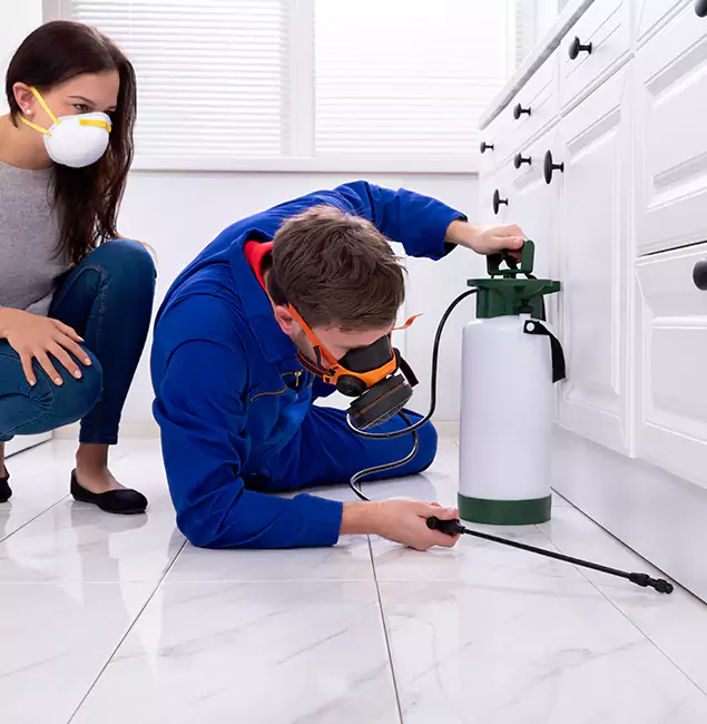 Why Amarillo, TX Homeowners Trust Amarillo Pest Control Pro for Roach Control?
