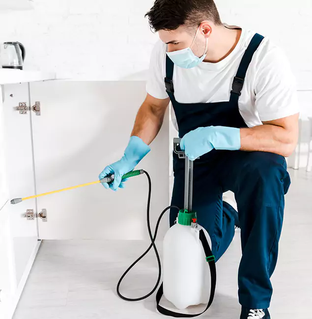 Why Choose Amarillo Pest Control Pro for Indoor Pest Control in Amarillo, TX?