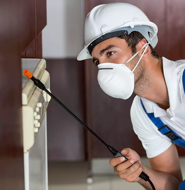 Why Amarillo Homeowners Rely on Amarillo Pest Control Pro for Tick Treatment?