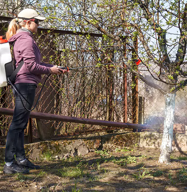 Why Amarillo Homeowners Choose Amarillo Pest Control Pro for Mosquito Abatement?