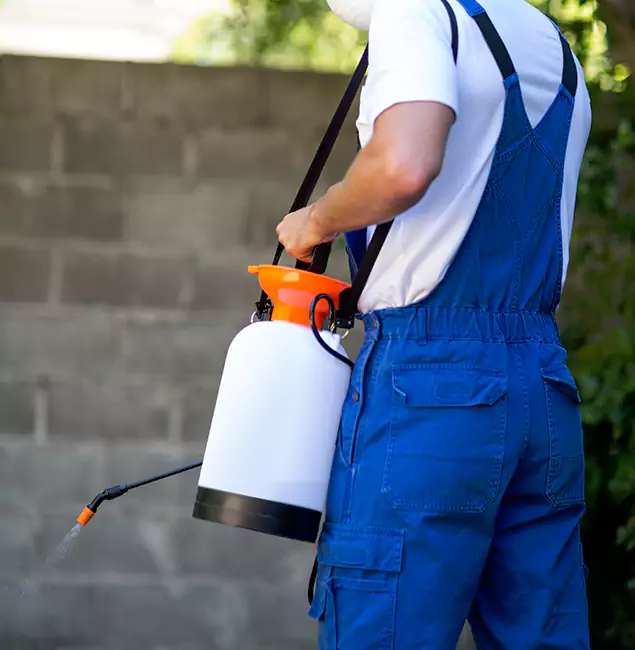 Why Amarillo Homeowners Rely on Amarillo Pest Control Pro for Mosquito Control?
